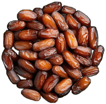 khalas date palm